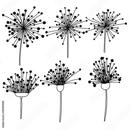 Doodle dandelions set, outline fantasy flowers for design cards, invitations, etc.