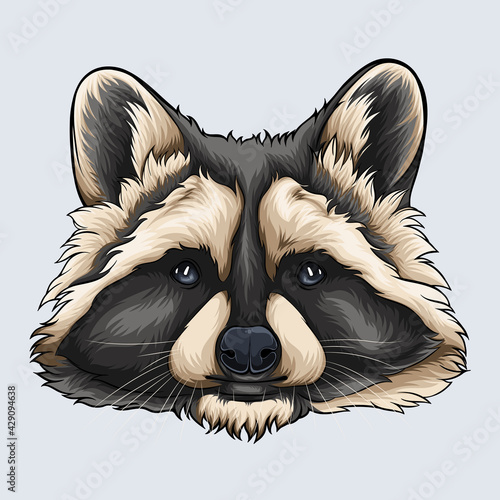 Hand drawn grey and beige Raccoon face illustrated with shadows and lights isolated on white background