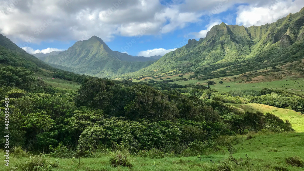 Jurassic Park Landscape on Oahu