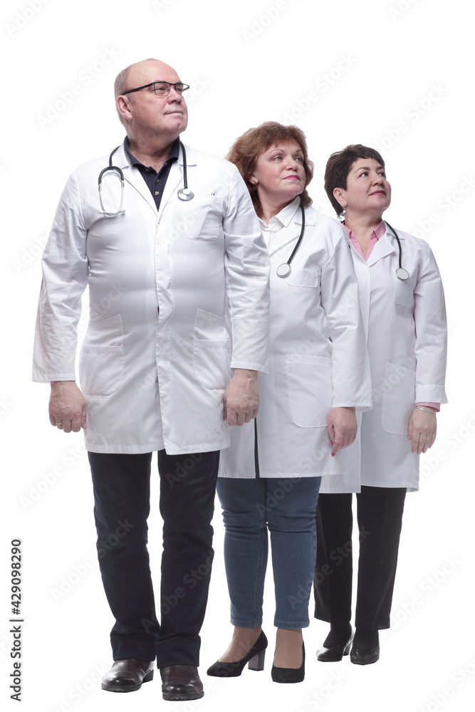 in full growth. group of medical colleagues standing in a row in full growth. group of medical colleagues standing in a row