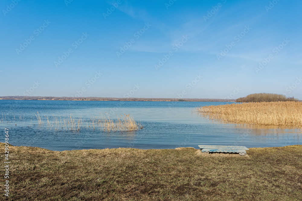 The coastline with small grass and a bench to rest, a blue lake with yellow dry reeds and a clear blue sky with light clouds on a sunny spring day.
