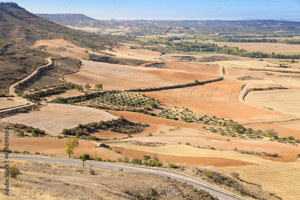 summer landscape with agricultural plowed fields in Jadraque, province of Guadalajara, Castile La Mancha, Spain
