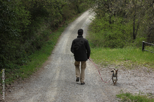 a man walking with a dog on a country road in the middle of the forest 