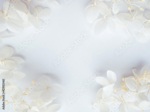 Flowers composition. Frame made of white flowers hydrangea on white background. Wedding day, mothers day and womens day concept. Flat lay, top view.