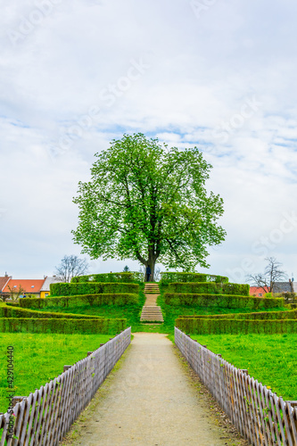 View of a small hill situated in the Kvetna zahrada garden in Kromeriz with a tree in the center. photo