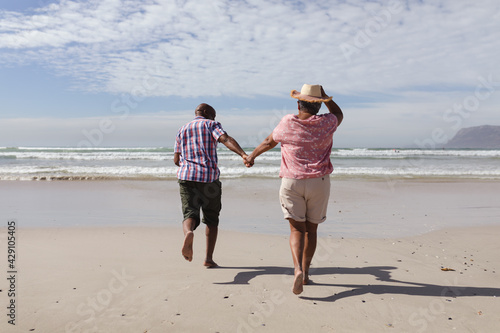 Rear view of senior african american couple holding hands running on the beach