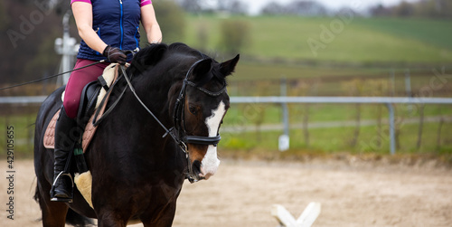 Horse on the riding arena with rider, front view of the right side of the body with space for text on the right side..