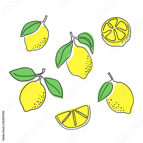 Lemons set. Hand drawn one line lemon vector illustration. Citrus fruits minimal design.