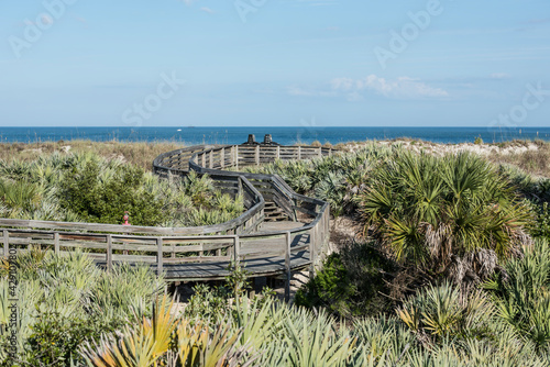 Wooden serpentine walkway winding through coastal habitat of sand dunes, saw palmettos and sea oats with the ocean in the background, near Daytona Beach, Florida, USA.  