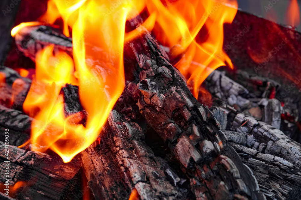 A Fire with coals and fire on nature picnic background. Burns out a bonfire for food on the street A Fire with coals and fire on nature picnic background. Burns out a bonfire for food on the street