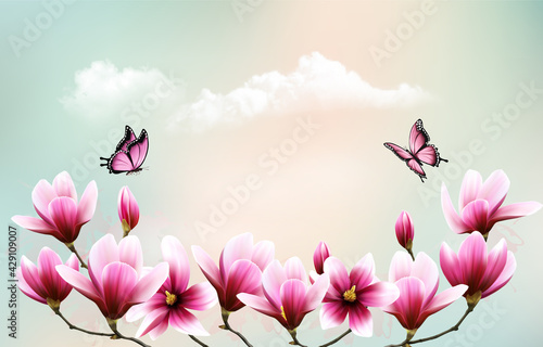 Fototapeta Naklejka Na Ścianę i Meble -  Nature background with beautiful magnolia branches on sky with clouds and butterflies. Vector.