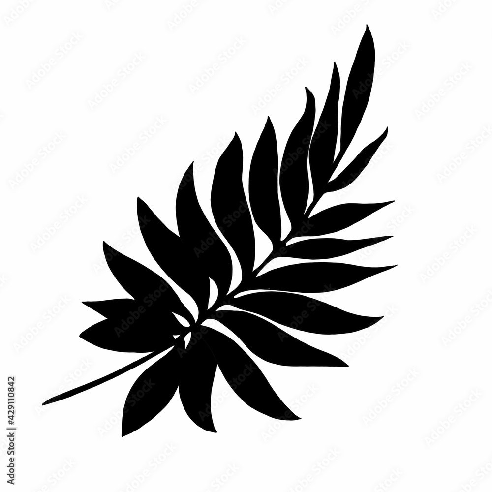leaves in black and white leaves in black and white