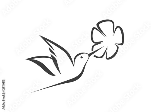 Humming bird and flower stylized elegant simple icon vector.