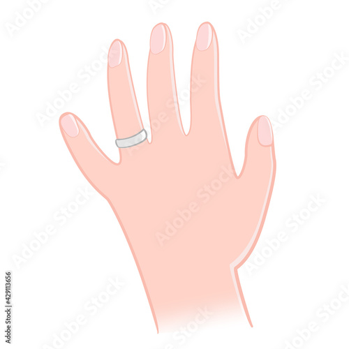 手　指輪　女性　リング　結婚　イラスト素材