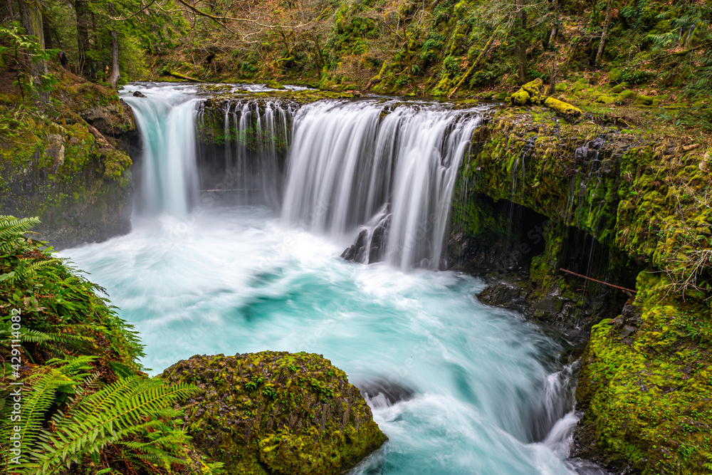 Fototapeta premium Spirit Falls, Washington