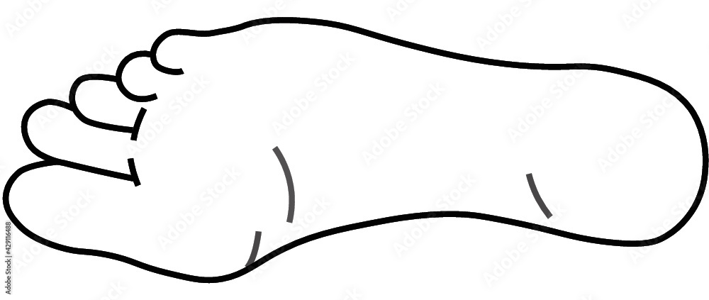 Vector foot Vector foot