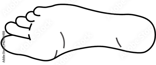 Vector foot