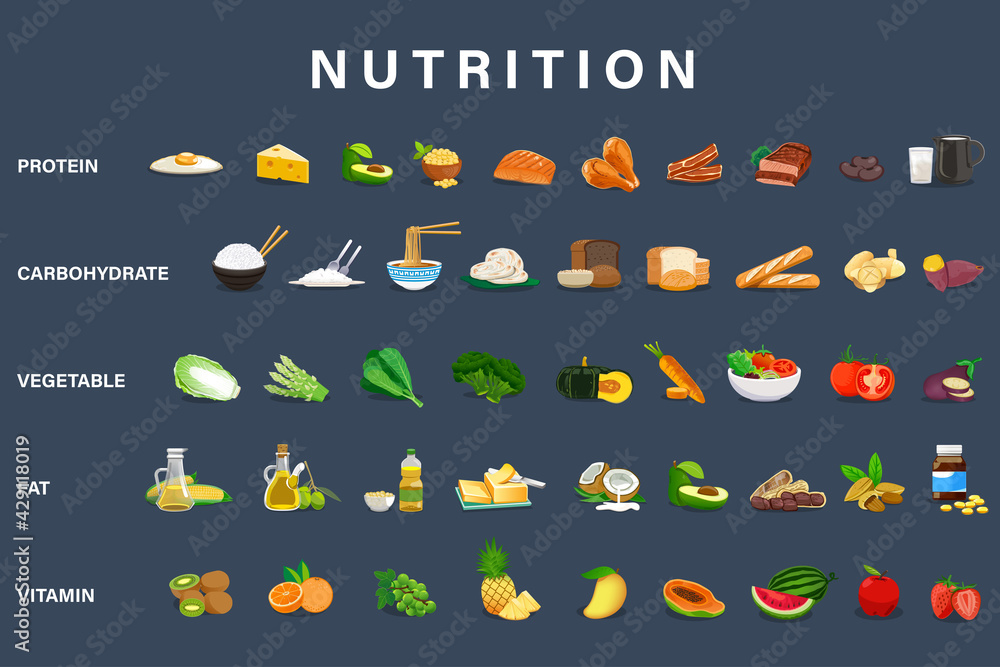 Example five food group nutrition for daily energy. Stock Vector