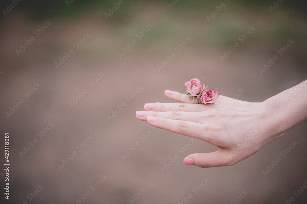 flower in hands flower in hands