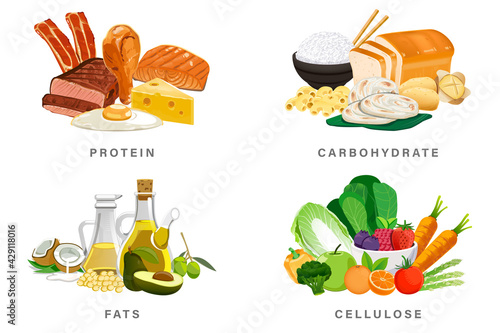 Basic nutrition group for daily energy. The Ratio consumption balanced diet with the body.