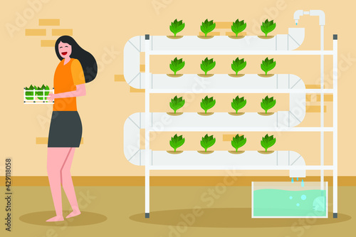 Hydroponic vector concept. Happy woman harvesting fresh hydroponic vegetable plant at home