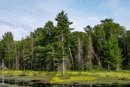 Exploring the Nipissing Settlement Road Near Magnetawan, Ontario photo