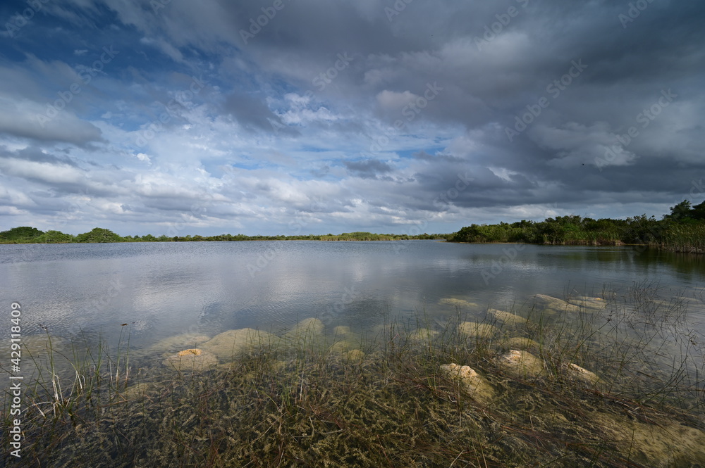 Fototapeta premium Storm clouds gathering over Sweet Bay Pond in Everglades National Park.