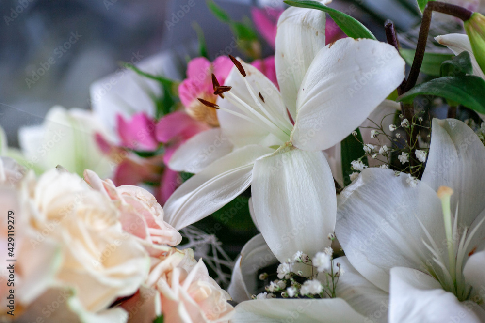 Obraz premium Beautiful vintage background of wildflowers. Delicate flowers close-up with a blurred background.