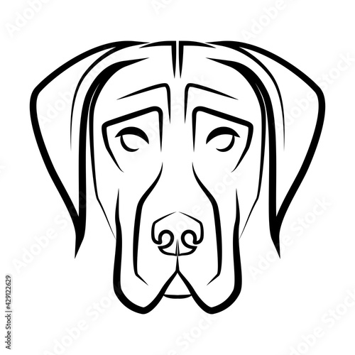 Black and white line art of Great Dane dog head. Good use for symbol, mascot, icon, avatar, tattoo, T Shirt design, logo or any design you want.