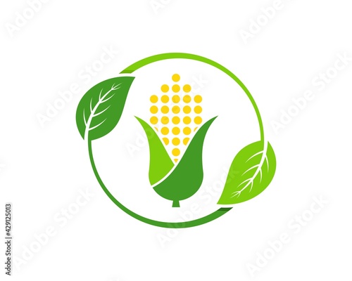 Circular nature leaf with abstract corn inside