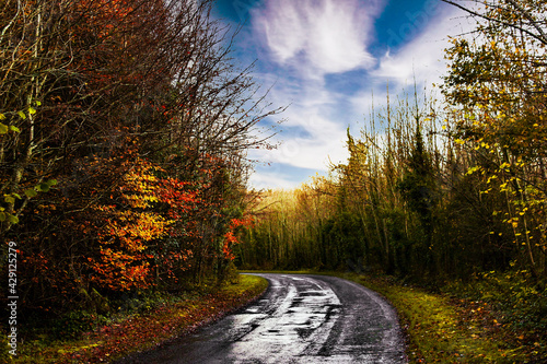 Ireland Landscape photo