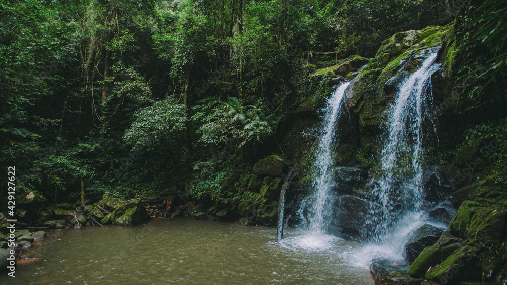 Waterfall in the forest.