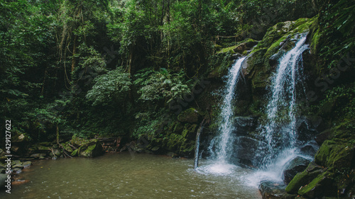 Fototapeta Naklejka Na Ścianę i Meble -  Waterfall in the forest.