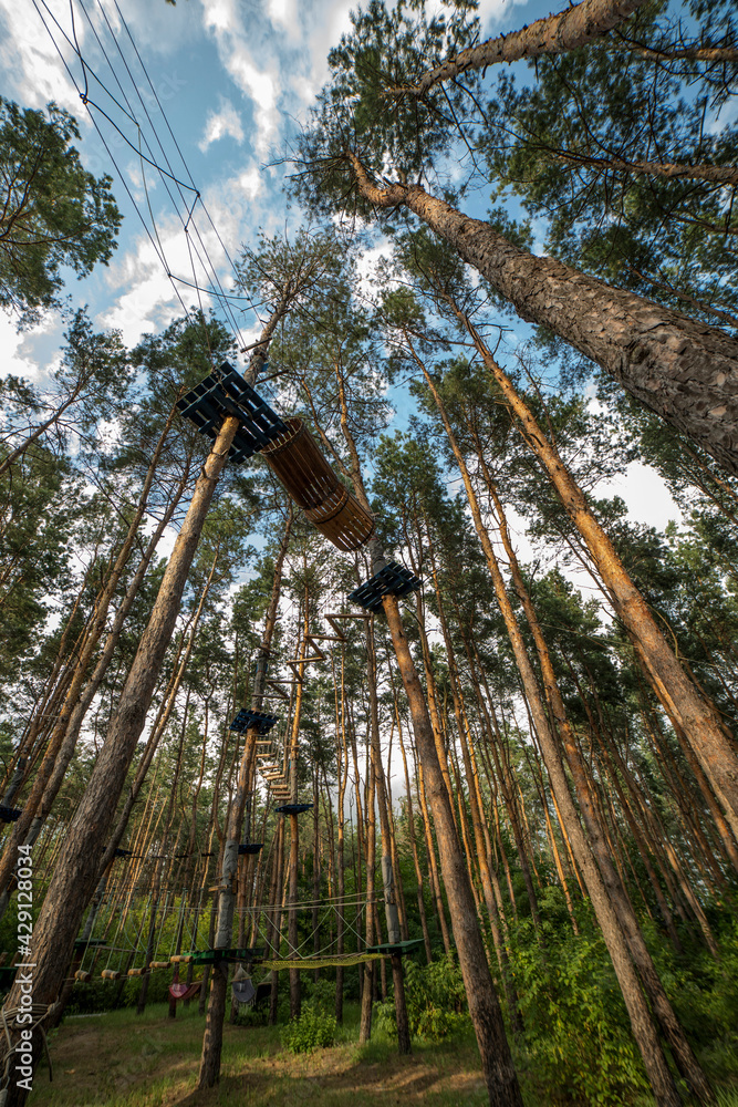Obstacle course, rope park among the trees in the forest Obstacle course, rope park among the trees in the forest