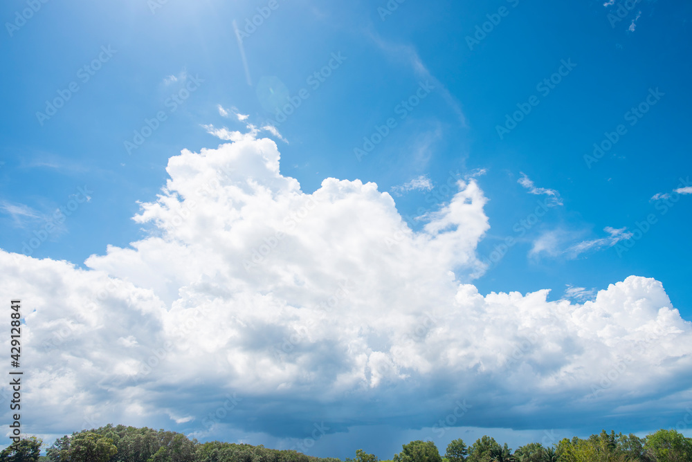 Fototapeta premium blue sky and cloud . Pastel style sky and clouds.Freshness of the new day. Bright blue background. Relaxing feeling like being in the sky.