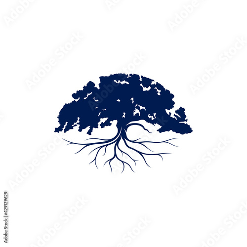 Oak Tree logo design vector illustration, Creative oak tree logo design concept template, symbols icons