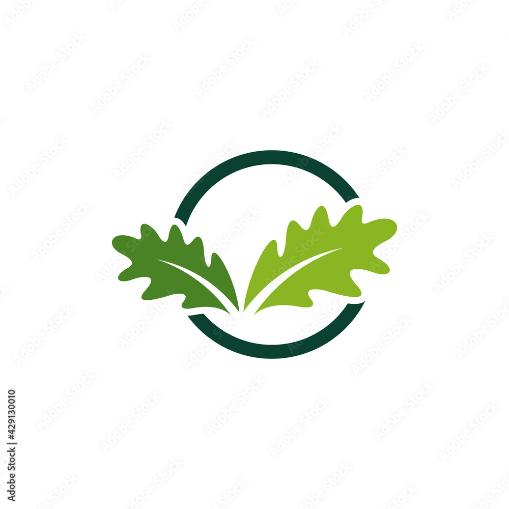 Oak leaf logo design vector illustration, Creative oak tree logo design concept template, symbols icons Oak leaf logo design vector illustration, Creative oak tree logo design concept template, symbols icons