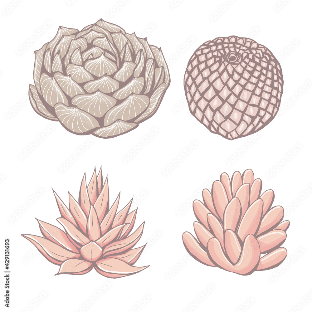 Obraz premium Cute cacti and succulents, pastel colors desert plants