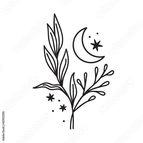 Moon and wildflowers hand drawn vector isolated on white background. Boho clipart with floral  celestial. Moon phase illustration. Magic herbs doodle. Moon child print with leafs  stars  crescent moon