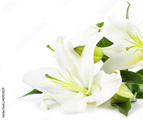 Fototapeta Naklejka Na Ścianę i Meble -  Beautiful lily flowers on white background