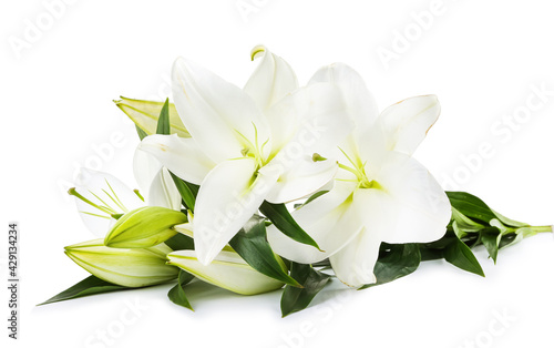 Beautiful lily flowers on white background © Pixel-Shot