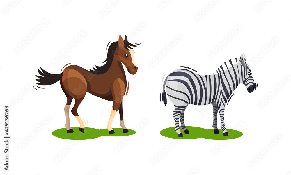 Horse and Zebra with Crest Grazing on Green Field Vector Set