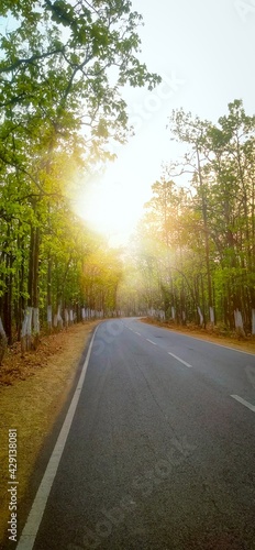 sun rise in the middle of the hiway in the forest