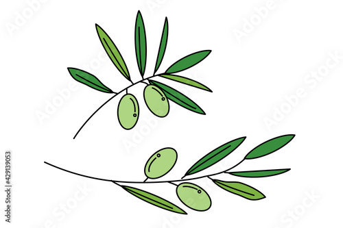 Olive oil Italian food icon