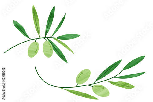 Olive oil Italian food icon