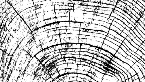 Texture of an old wooden log cross-section