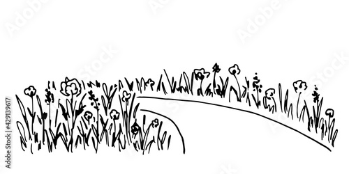 Simple hand-drawn vector drawing in black outline. Path, flowers on the roadside. Blooming lawn. Country landscape. Ink sketch. Suburban walk. Summer nature.