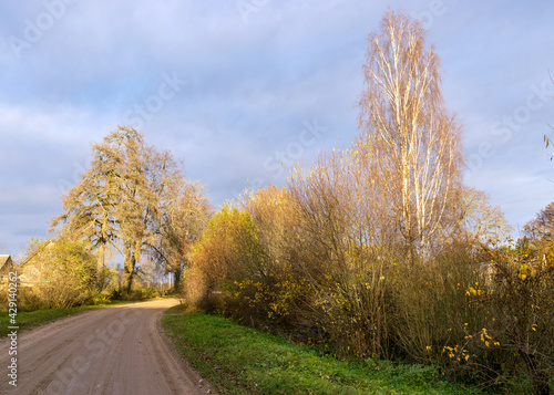 beautiful colorful trees by the side of the road, dirt road in autumn day, autumn