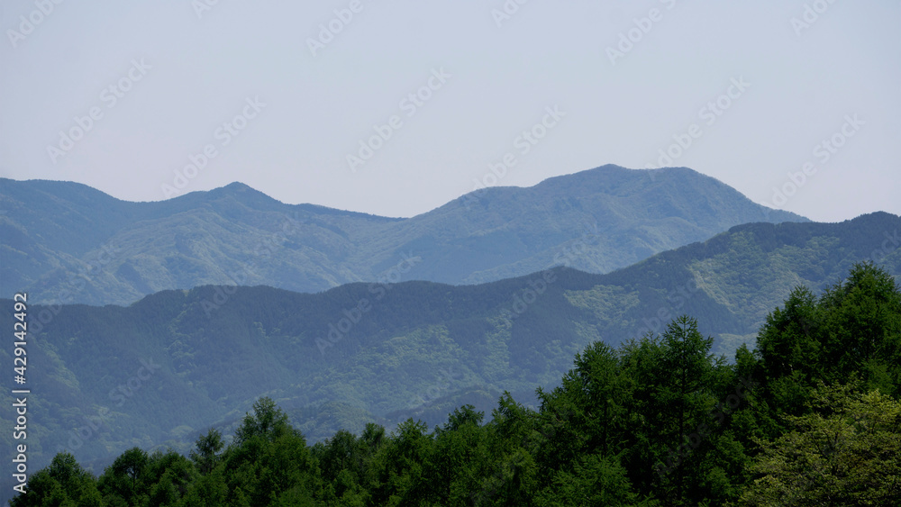 こまどり池から見える初夏の山と森-2／八千穂高原（長野県佐久穂町）