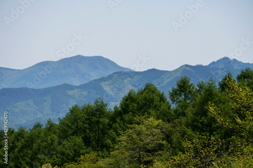 こまどり池から見える初夏の山と森－1／八千穂高原（長野県佐久穂町）